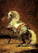 cheval gris pommele Theodore   Gericault